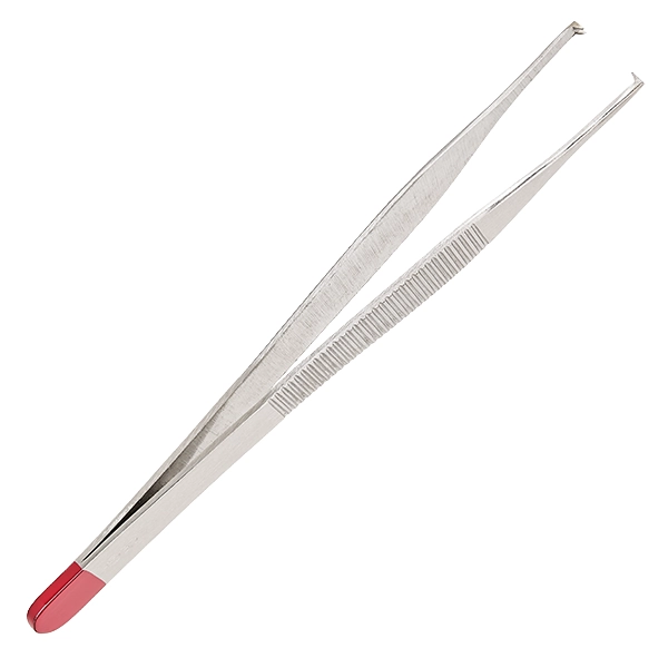 Chirurgische Pinzetten Einmalgebrauch, 1x2 Zähne, 12,5 cm 25 Stück